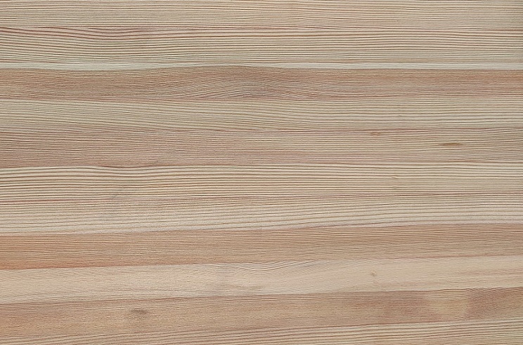 Лиственница